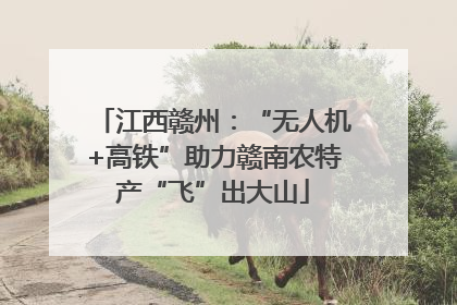 江西赣州：“无人机+高铁”助力赣南农特产“飞”出大山