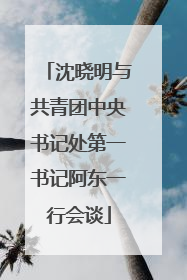 沈晓明与共青团中央书记处第一书记阿东一行会谈