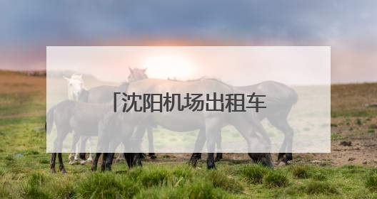 沈阳机场出租车与网约车停车功能区全面升级启用