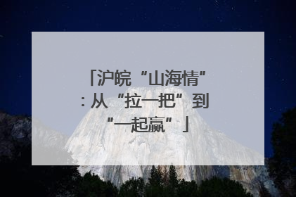 沪皖“山海情”：从“拉一把”到“一起赢”