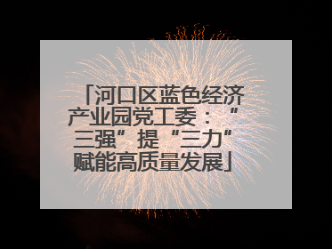 河口区蓝色经济产业园党工委：“三强”提“三力”赋能高质量发展