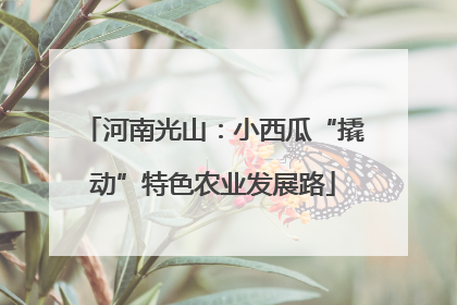 河南光山：小西瓜“撬动”特色农业发展路