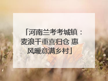 河南兰考考城镇：麦浪千重喜归仓 惠风暖意满乡村