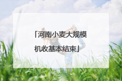 河南小麦大规模机收基本结束