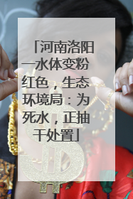 河南洛阳一水体变粉红色，生态环境局：为死水，正抽干处置