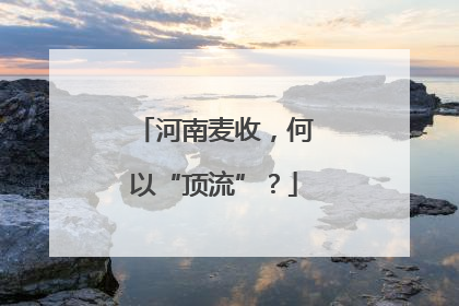 河南麦收，何以“顶流”？