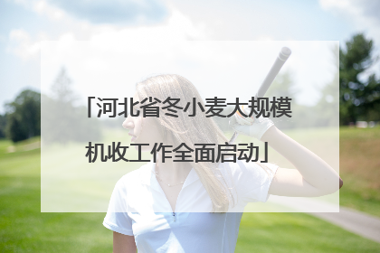 河北省冬小麦大规模机收工作全面启动