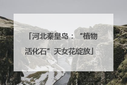 河北秦皇岛：“植物活化石”天女花绽放