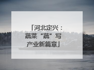 河北定兴：蔬菜“蔬”写产业新篇章