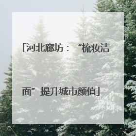 河北廊坊：“梳妆洁面”提升城市颜值