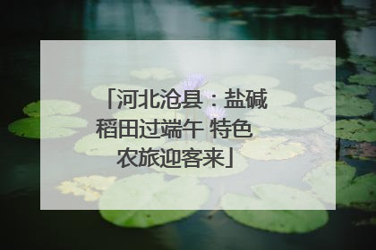 河北沧县：盐碱稻田过端午 特色农旅迎客来