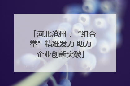 河北沧州：“组合拳”精准发力 助力企业创新突破