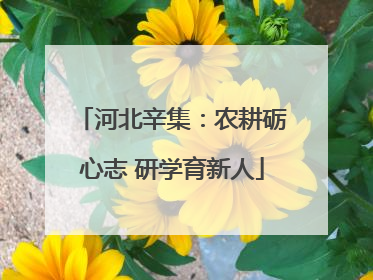 河北辛集：农耕砺心志 研学育新人