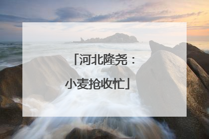 河北隆尧：小麦抢收忙