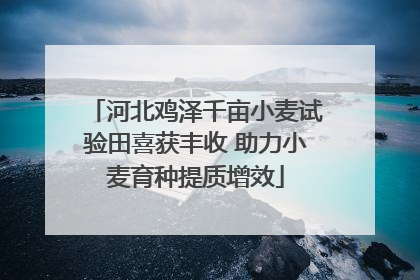 河北鸡泽千亩小麦试验田喜获丰收 助力小麦育种提质增效