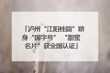 泸州“江阳桂圆”跻身“国字号” “甜蜜名片”获全国认证