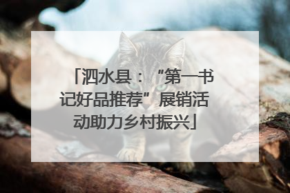 泗水县：“第一书记好品推荐”展销活动助力乡村振兴