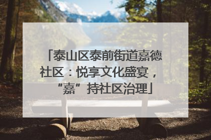 泰山区泰前街道嘉德社区：悦享文化盛宴，“嘉”持社区治理