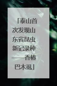 泰山首次发现山东省昆虫新记录种——香椿巴木虱