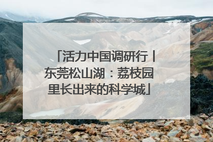 活力中国调研行丨东莞松山湖：荔枝园里长出来的科学城