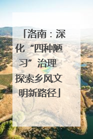 洛南：深化“四种陋习”治理 探索乡风文明新路径