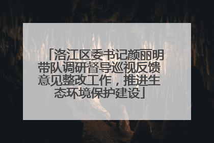 洛江区委书记颜丽明带队调研督导巡视反馈意见整改工作，推进生态环境保护建设