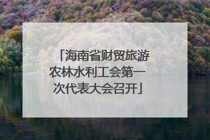 海南省财贸旅游农林水利工会第一次代表大会召开