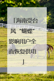 海南受台风“蝴蝶”影响用户全面恢复供电