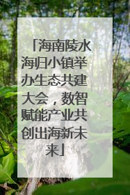 海南陵水海归小镇举办生态共建大会，数智赋能产业共创出海新未来