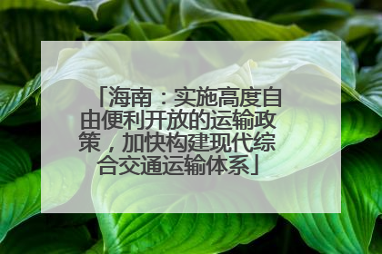 海南：实施高度自由便利开放的运输政策，加快构建现代综合交通运输体系