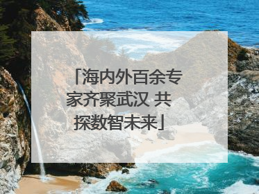 海内外百余专家齐聚武汉 共探数智未来