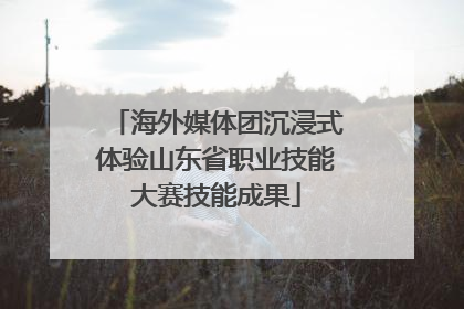 海外媒体团沉浸式体验山东省职业技能大赛技能成果