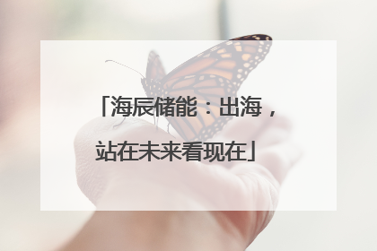 海辰储能：出海，站在未来看现在