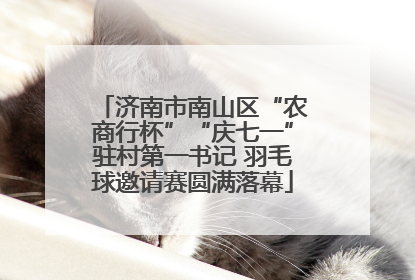济南市南山区“农商行杯”“庆七一”驻村第一书记 羽毛球邀请赛圆满落幕
