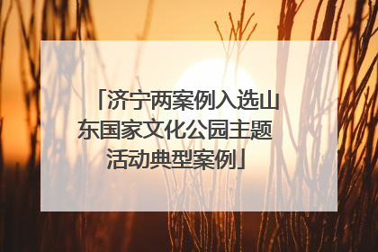 济宁两案例入选山东国家文化公园主题活动典型案例