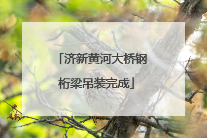 济新黄河大桥钢桁梁吊装完成