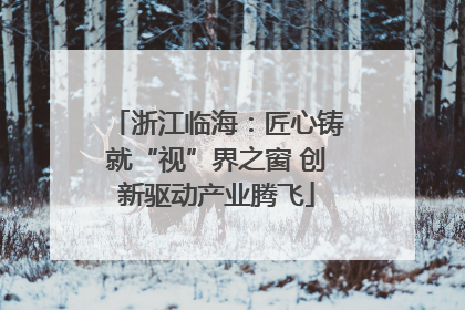 浙江临海：匠心铸就“视”界之窗 创新驱动产业腾飞