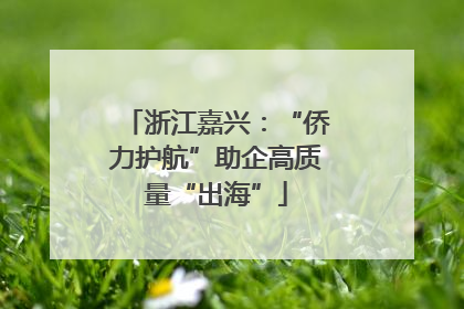浙江嘉兴：“侨力护航”助企高质量“出海”