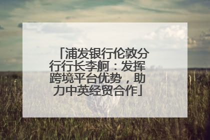 浦发银行伦敦分行行长李舸：发挥跨境平台优势，助力中英经贸合作