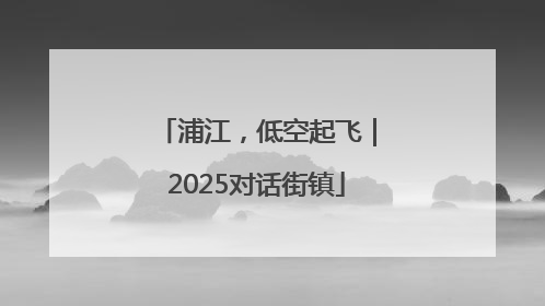 浦江，低空起飞｜2025对话街镇