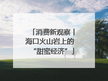 消费新观察丨海口火山岩上的“甜蜜经济”