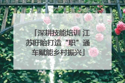 深耕技能培训 江苏盱眙打造“职”通车赋能乡村振兴