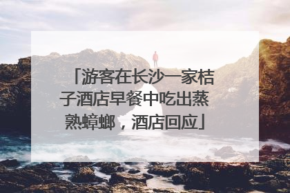 游客在长沙一家桔子酒店早餐中吃出蒸熟蟑螂，酒店回应