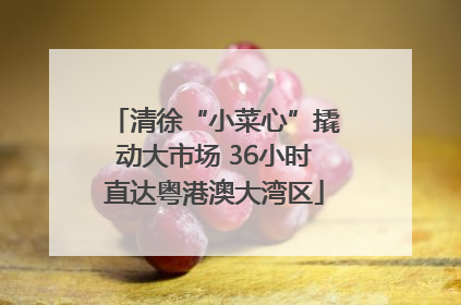 清徐“小菜心”撬动大市场 36小时直达粤港澳大湾区