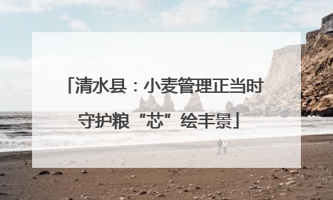 清水县：小麦管理正当时 守护粮“芯”绘丰景