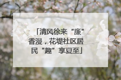 清风徐来“廉”香漫，花堤社区居民“趣”享夏至