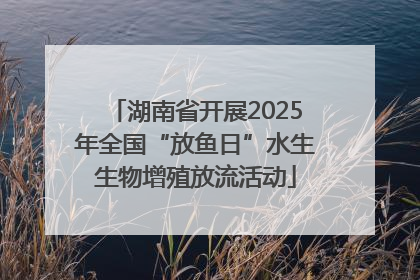 湖南省开展2025年全国“放鱼日”水生生物增殖放流活动