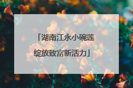 湖南江永小碗莲绽放致富新活力