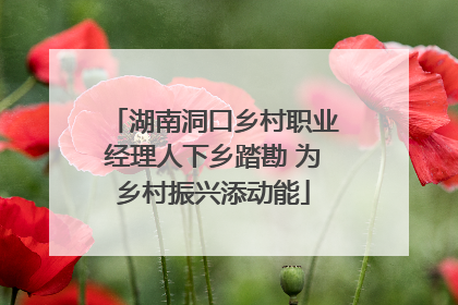 湖南洞口乡村职业经理人下乡踏勘 为乡村振兴添动能