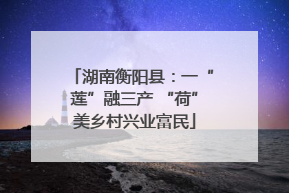 湖南衡阳县：一“莲”融三产 “荷”美乡村兴业富民